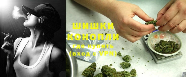 индика Нязепетровск