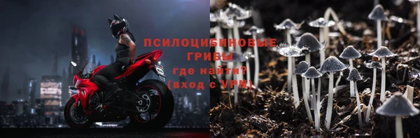 индика Нязепетровск