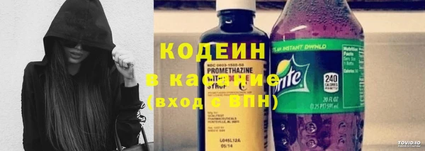 индика Нязепетровск
