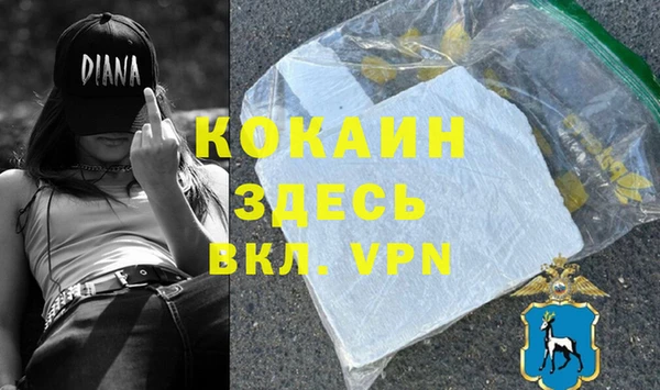 индика Нязепетровск