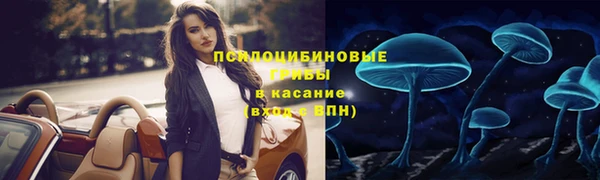 стаф Нягань