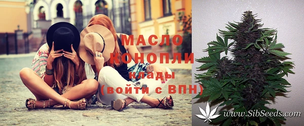 индика Нязепетровск