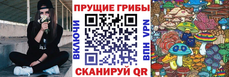 Купить закладки  Казань  Псилоцибиновые грибы ЛСД